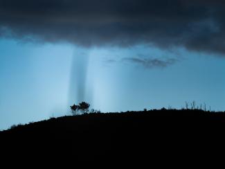 Lluvia selectiva