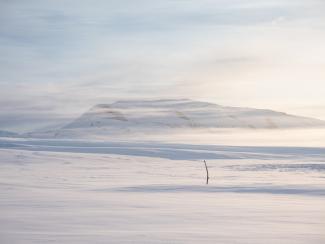 Keep standing. Song Kul lake