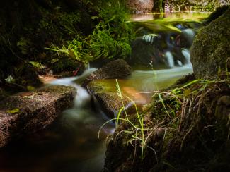 Agua del río cae sobre las piedras