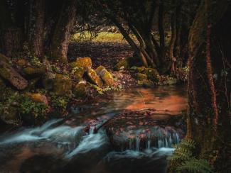 Salto de agua en entorno mágico