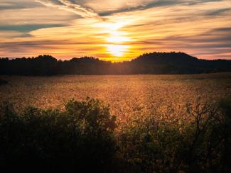 Posta de sol a Les Garrigues