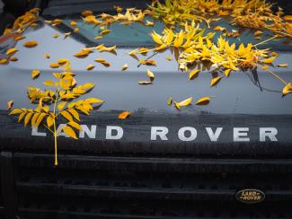 Autumn colours on Land Rover Discovery TD5