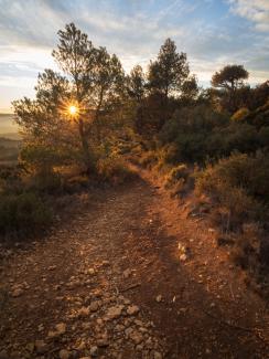 Capvespre en el camí