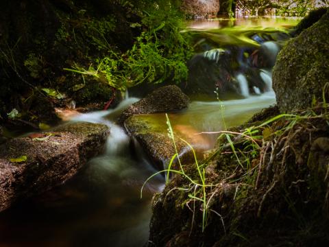 Agua del río cae sobre las piedras
