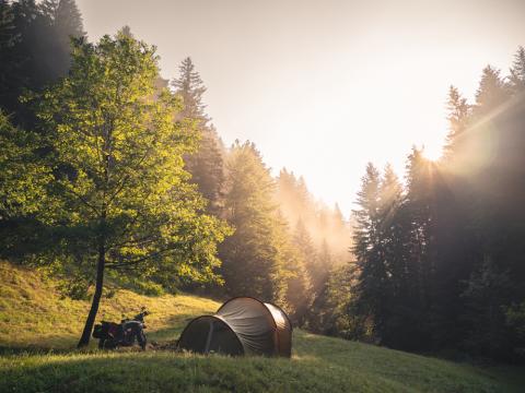 Amanecer en el bosque. Viaje en moto por los Alpes