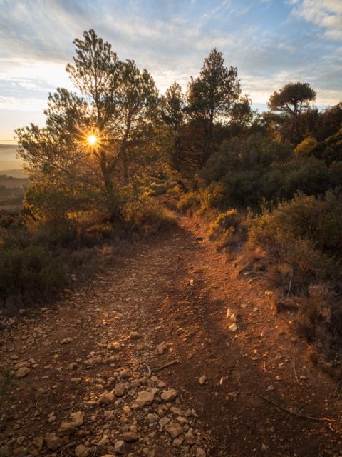 Capvespre en el camí