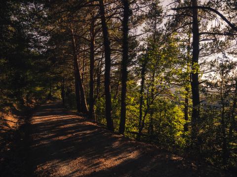 La llum del bosc, Muntanyes de Prades
