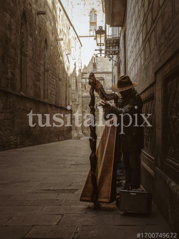 Músic tocant l'arpa al costat de la catedral de Barcelona