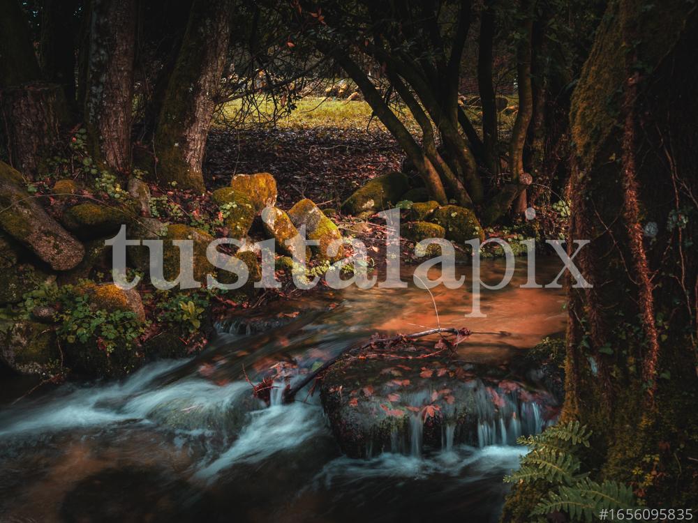 Salto de agua en entorno mágico