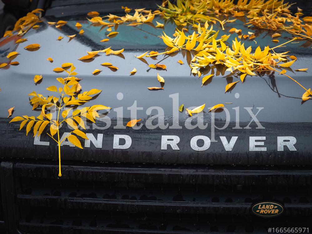 Autumn colours on Land Rover Discovery TD5