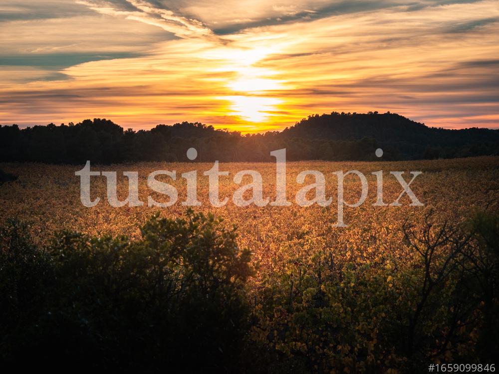 Posta de sol a Les Garrigues