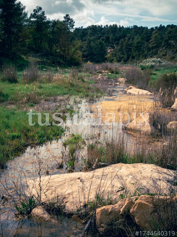 Water in a usually dry landscape. Cervià de Les Garrigues, Catalunya.