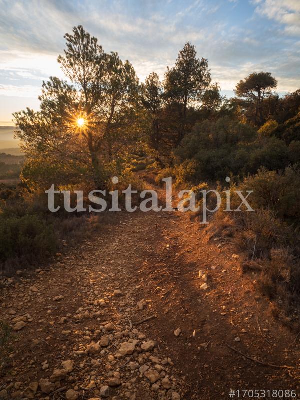 Capvespre en el camí