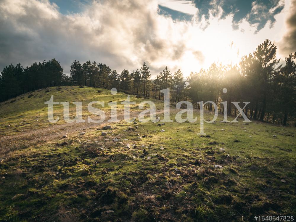 Momento feliz. Sierra de San Mamede, Ourense.